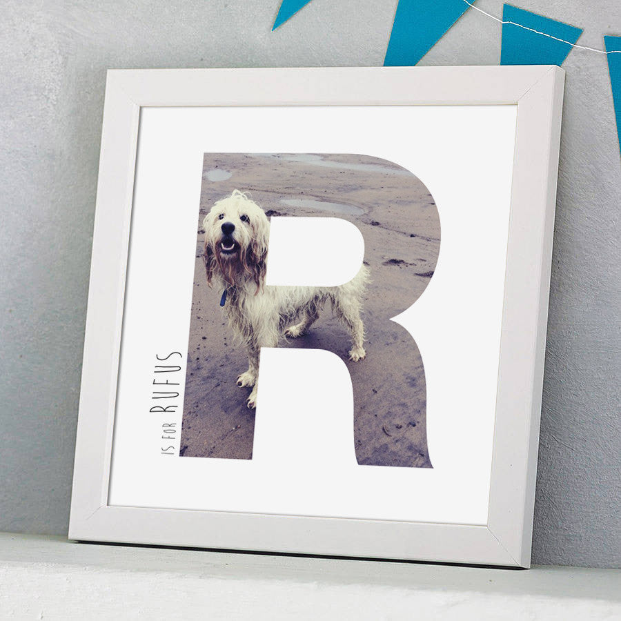 Personalised Framed Photograph Pet Print